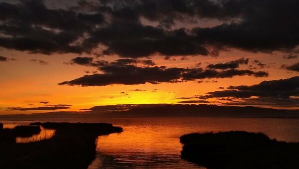 La magia del Delta del Ebro